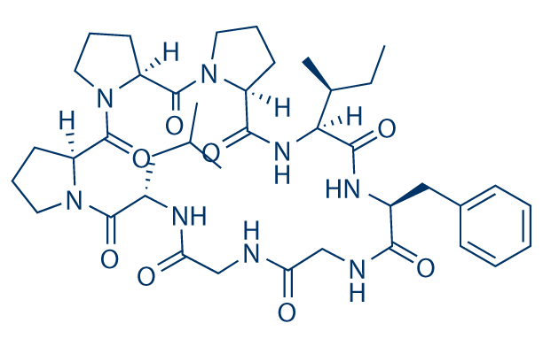 Heterophyllin B