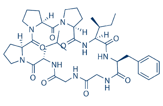 Heterophyllin B