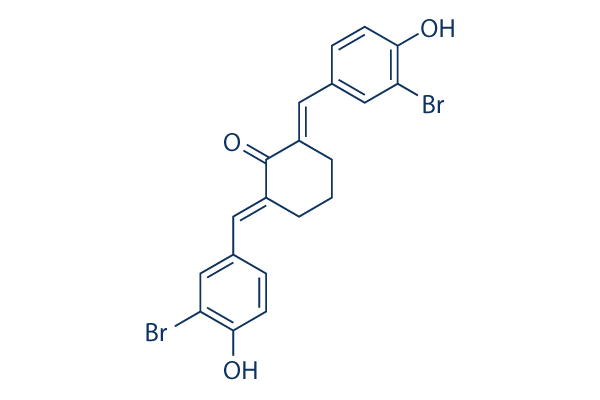 Histone&nbsp;Acetyltransferase&nbsp;Inhibitor&nbsp;II