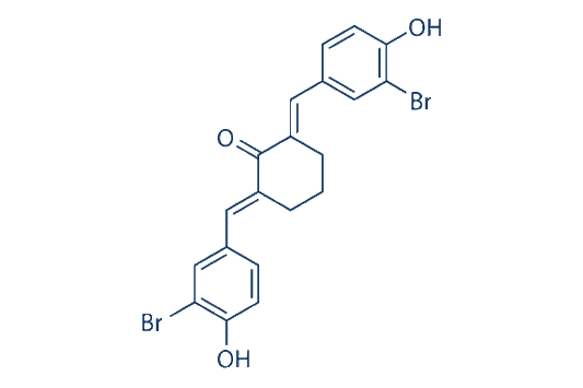 Histone&nbsp;Acetyltransferase&nbsp;Inhibitor&nbsp;II