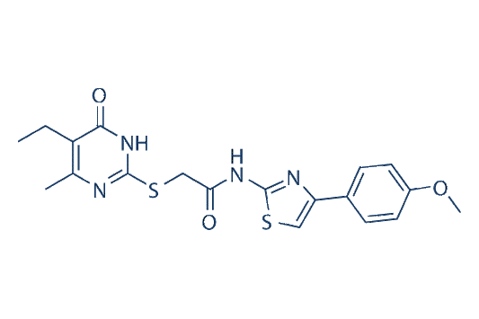 T16Ainh-A01