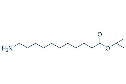 tert-Butyl 11-aminoundecanoate