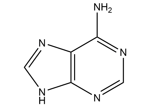 Adenine