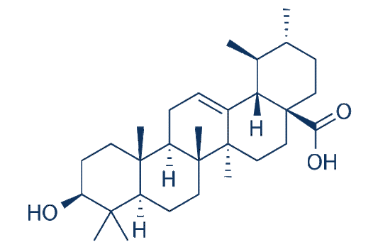 Ursolic Acid