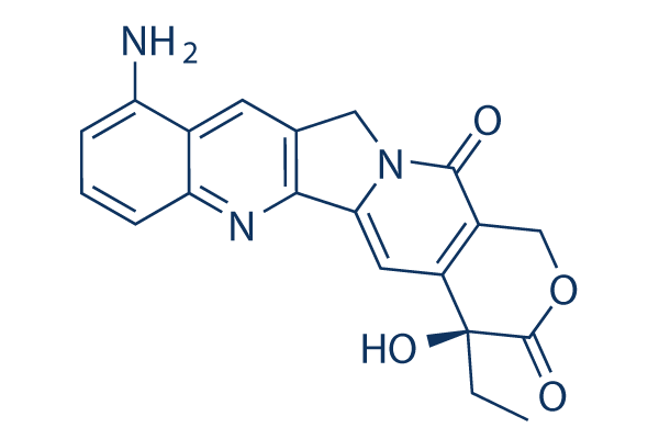 9-amino-CPT (9-Aminocamptothecin)