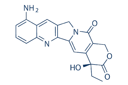 9-amino-CPT (9-Aminocamptothecin)