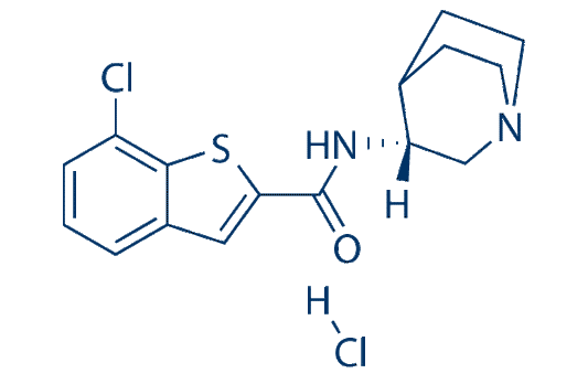 Encenicline (EVP-6124)hydrochloride