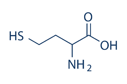 DL-Homocysteine