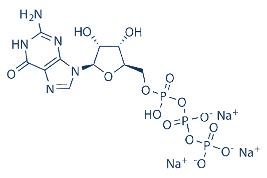 Guanosine 5'-triphosphate trisodium salt