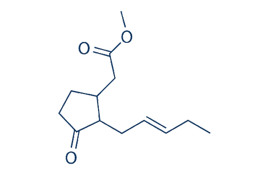 (±)-Methyl Jasmonate
