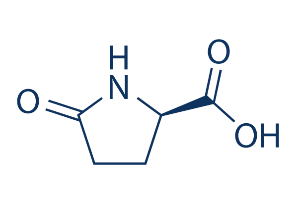 D-Pyroglutamic acid