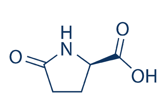 D-Pyroglutamic acid