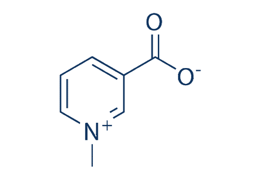 Trigonelline