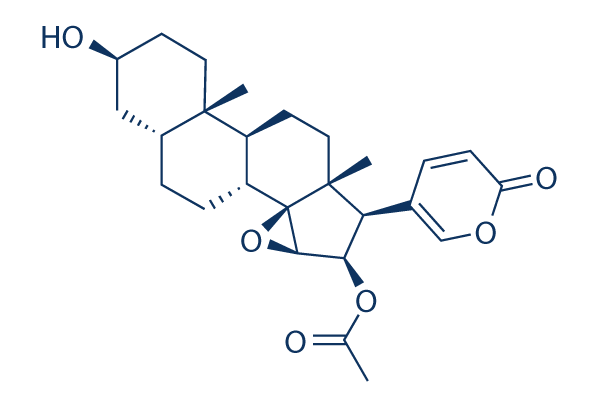 Cinobufagin