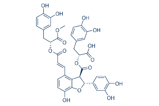 9''-Methyl salvianolate B