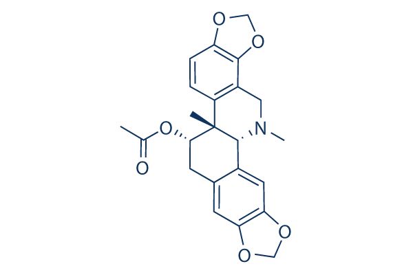 Acetylcorynoline