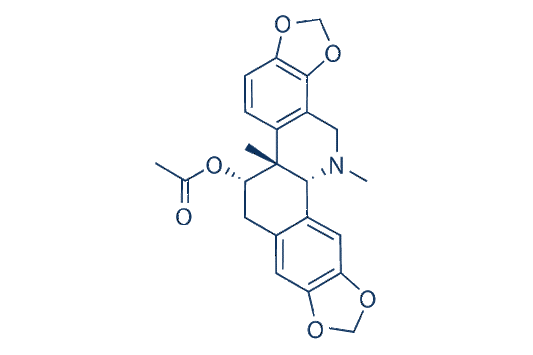 Acetylcorynoline
