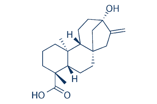 Steviol (Hydroxydehydrostevic acid)