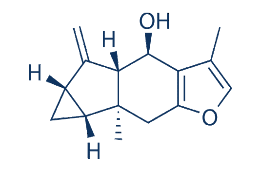 Linderene