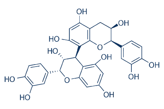 Procyanidin B2 (PCB2)