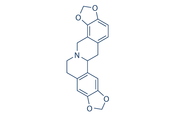 Stylopine