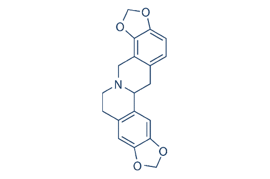Stylopine