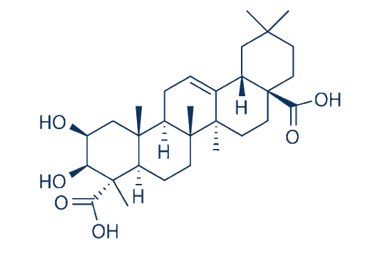 Medicagenic acid