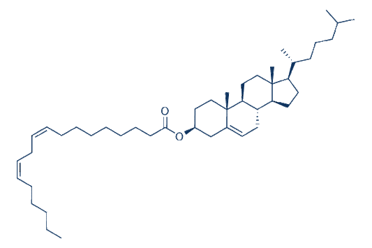 Cholesteryl linoleate
