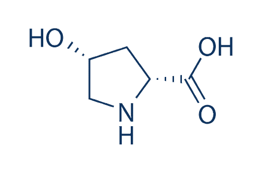 cis-4-Hydroxy-D-proline