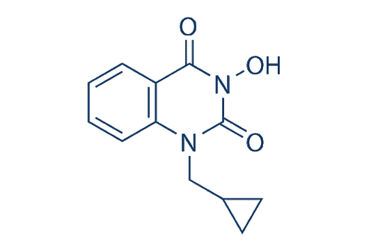 FEN1-IN-4