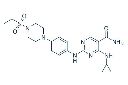 Cerdulatinib (PRT062070)