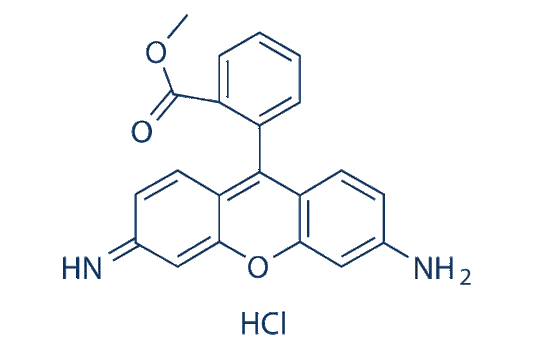 Rhodamine 123