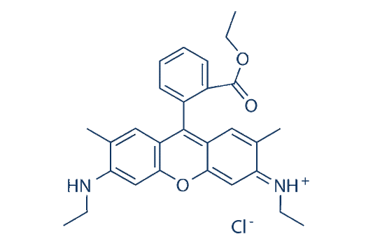 Rhodamine 6G