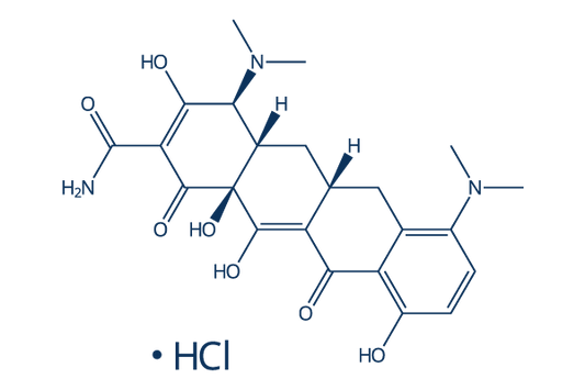 Minocycline Hydrochloride