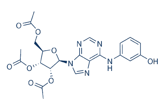 IMM-H007