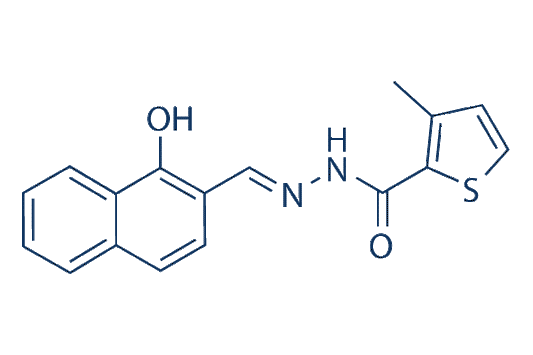 PCNA-I1