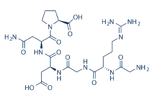 RGD peptide (GRGDNP)