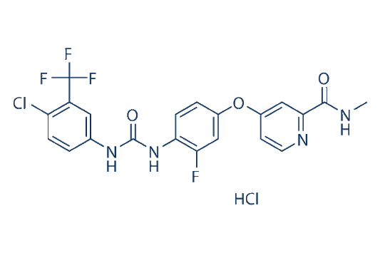 Regorafenib Hydrochloride