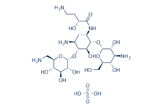 Amikacin Sulfate Salt