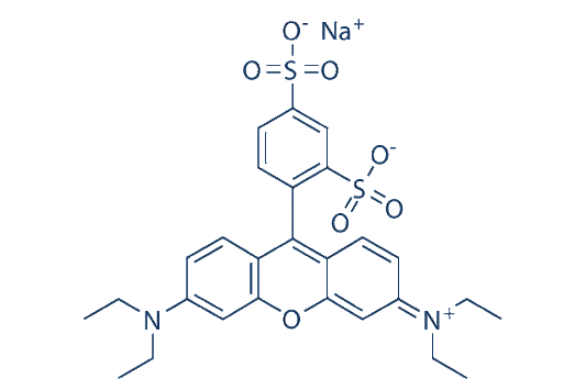 Sulforhodamine B sodium salt