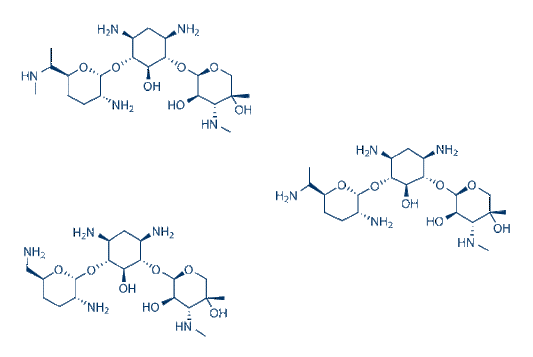 Gentamicin