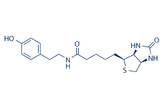 Biotinyl Tyramide