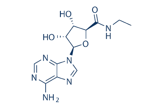 5'-N-Ethylcarboxamidoadenosine (NECA)