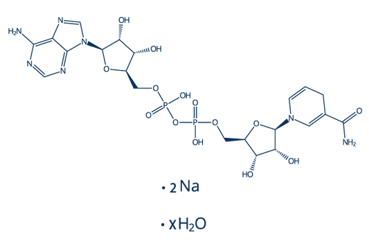 NADH Disodium Salt Hydrate