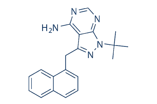 1-NM-PP1