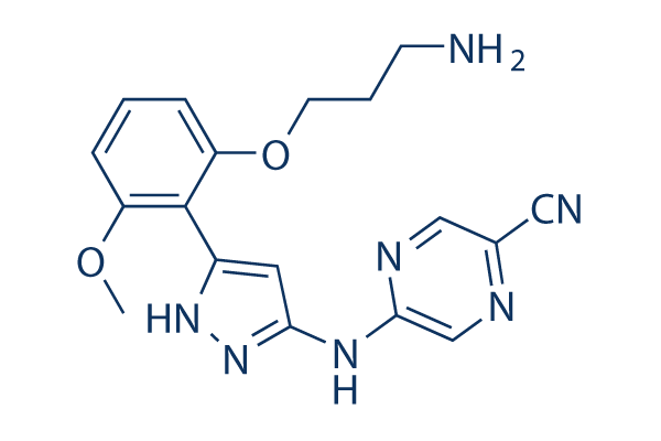 Prexasertib (LY2606368)