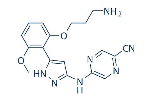 Prexasertib (LY2606368)