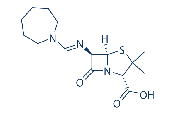 Amdinocillin