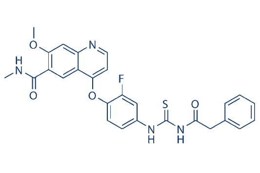 Pamufetinib (TAS-115)