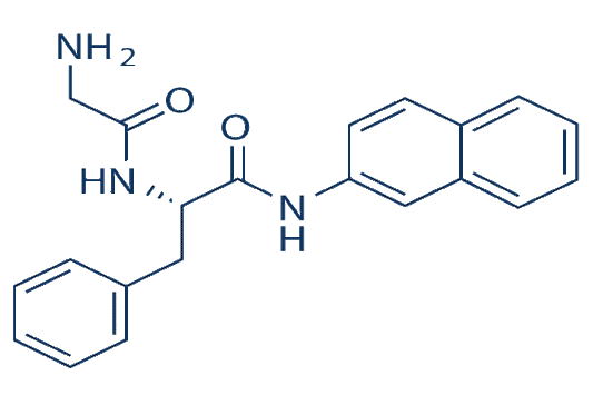 Gly-Phe β-naphthylamide